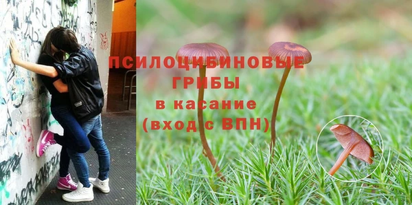 спиды Верхний Тагил