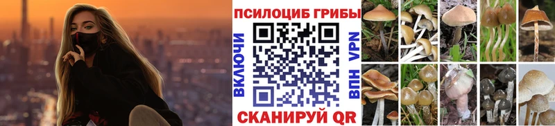 как найти закладки  Шадринск  Галлюциногенные грибы Psilocybe 